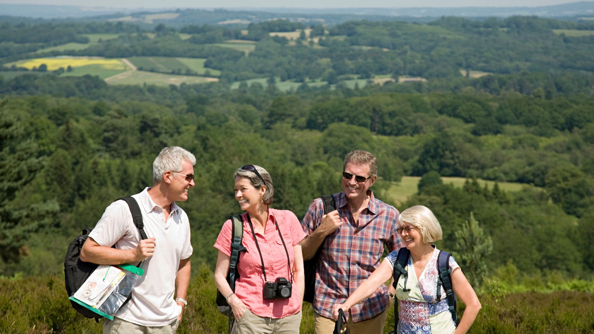 Four walkers in the foreground with views across green rolling hills to the horizon